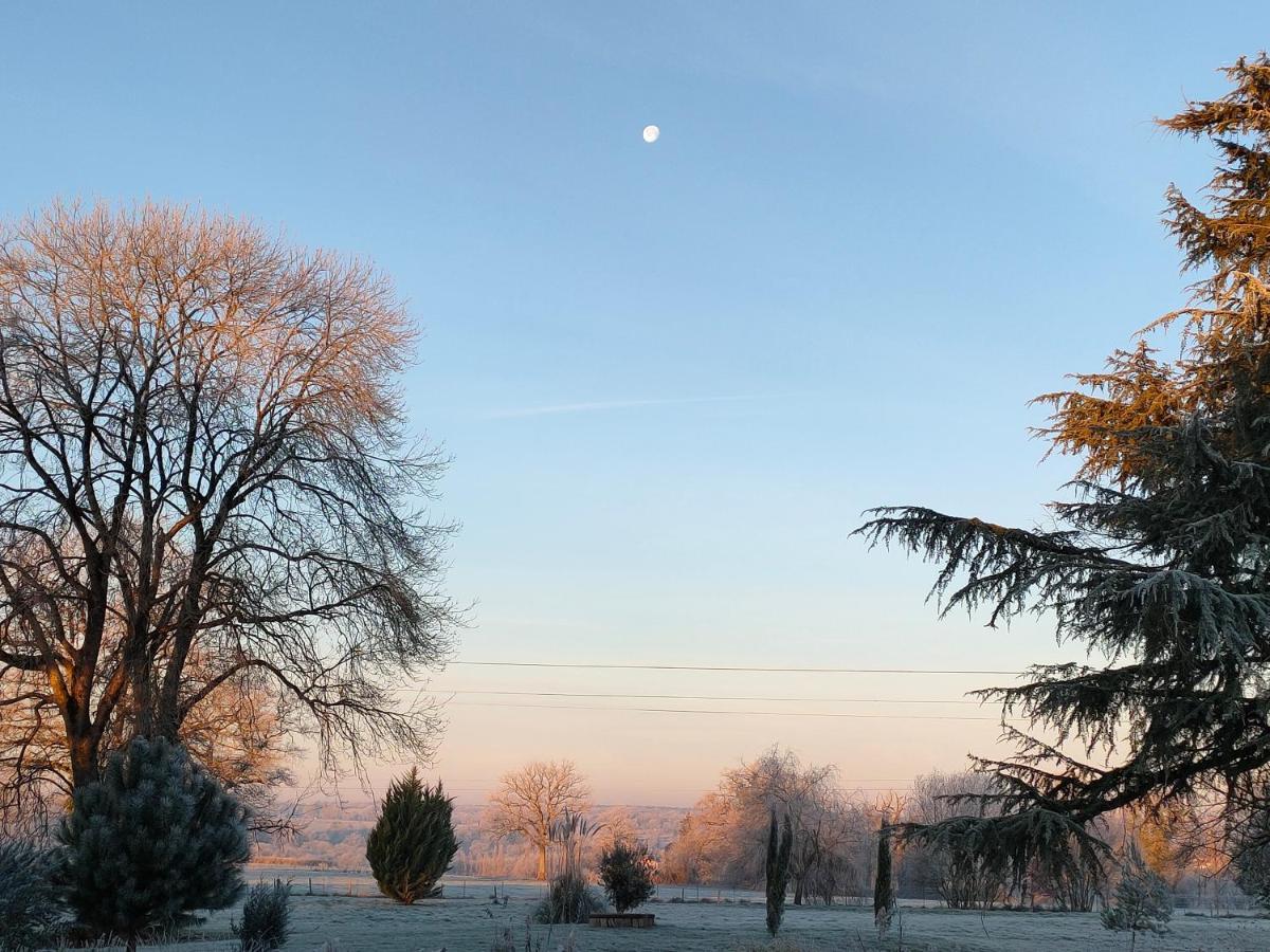 Berneuil  Domaine De Panissac B&B 외부 사진